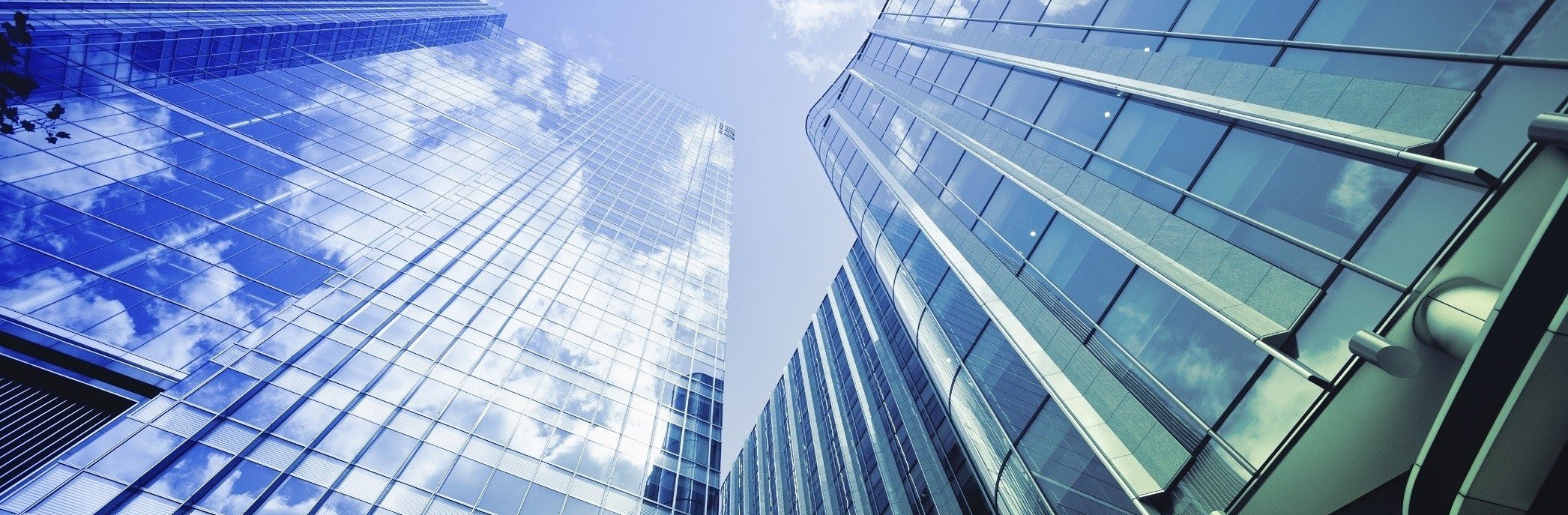 IBS Company Image